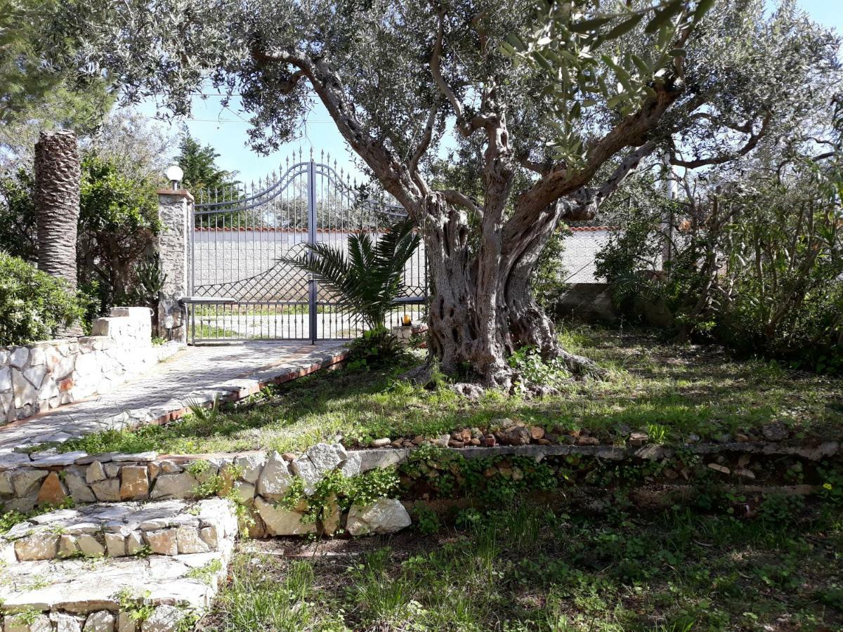 Villa Belvedere Michelle Trappeto  Dış mekan fotoğraf